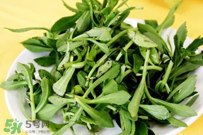 養(yǎng)心菜能生吃嗎？養(yǎng)心菜怎么吃？