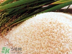 包粽子的米要泡多久？包粽子的米是什么米？