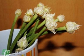蒜薹可以放冰箱嗎？蒜薹可以冷凍嗎