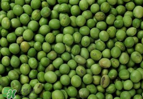 青豆可以打豆?jié){嗎？青豆能做豆?jié){嗎？
