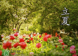 ?立夏是夏天嗎？?立夏是夏天的開始嗎？