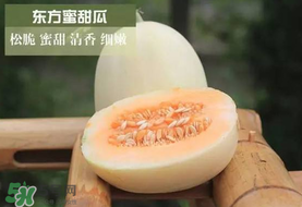 甜瓜可以帶上飛機(jī)嗎？坐飛機(jī)可以帶香瓜嗎？