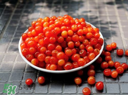 立夏嘗三新指的是什么？立夏嘗新活動