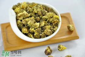立夏喝菊花好嗎？立夏能吃苦菊嗎？