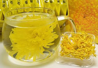立夏喝菊花好嗎？立夏能吃苦菊嗎？