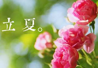 立夏開什么花？立夏有什么花？