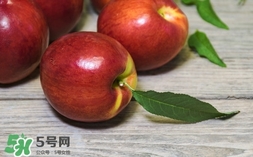 油桃什么時候成熟？油桃什么季節(jié)成熟