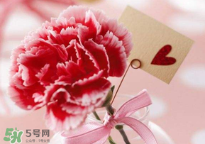 母親節(jié)要送婆婆禮物嗎？母親節(jié)要給婆婆買禮物嗎？