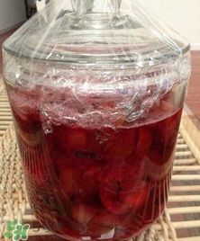 三華李能泡酒嗎？三華李怎么泡