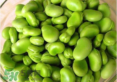 青蠶豆怎么保存？剝好的蠶豆怎么保存