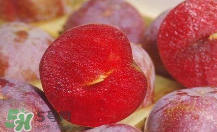 吃三華李有什么好處？三華李的功效與作用