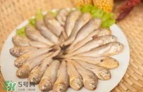 黃唇魚是黃花魚嗎？黃唇魚是黃魚嗎？