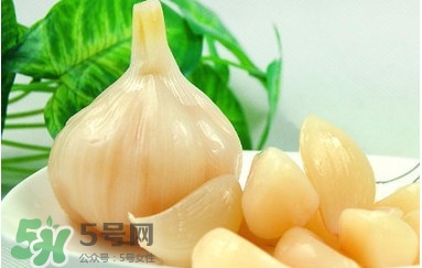 蒜頭泡醋有什么功效？蒜頭泡醋的功效和做法