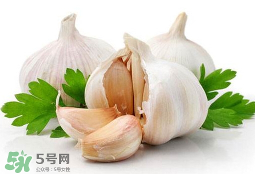 蒜頭能放冰箱嗎？蒜頭能放多久？