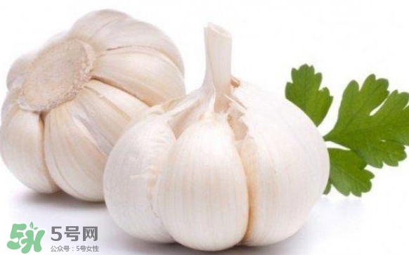 蒜頭發(fā)芽能吃嗎？蒜頭發(fā)芽可以吃嗎？