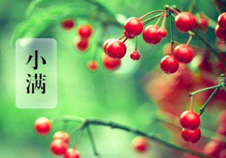 小滿是什么節(jié)氣？小滿是第幾個(gè)節(jié)氣？