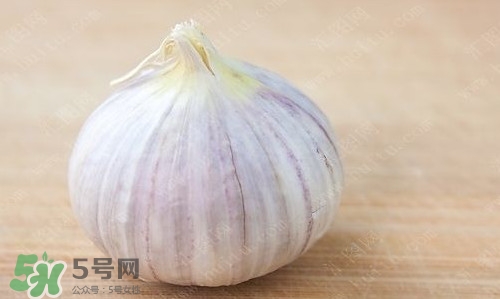 新鮮蒜頭怎么保存？蒜頭怎么保存不發(fā)芽