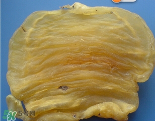 黃唇魚(yú)鰾一斤多少錢(qián)？黃唇魚(yú)鰾的藥用價(jià)值
