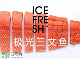 三文魚(yú)怎么保存?三文魚(yú)怎么保鮮?