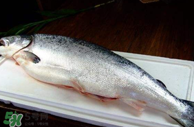 三文魚可以放多久？三文魚能放多久？