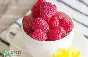 覆盆子是什么？覆盆子是樹莓嗎
