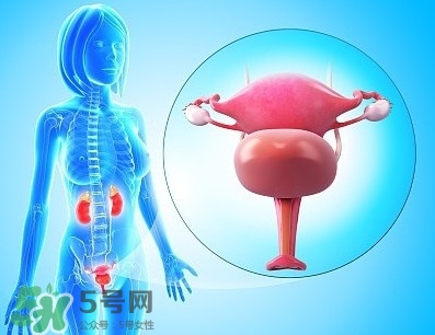 人造子宮能生孩子嗎？人造子宮初現(xiàn)曙光