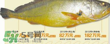 孕婦能吃金錢鱉嗎？懷孕期間能不能吃金錢鱉？