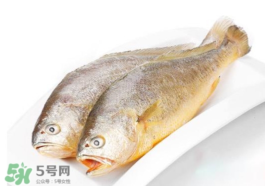 黃唇魚是不是黃花魚？黃唇魚和黃花魚的區(qū)別