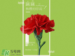 2017年母親節(jié)會(huì)打折嗎？2017年母親節(jié)有什么優(yōu)惠活動(dòng)？