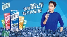 真果粒藍莓味多少錢?真果粒藍莓味好喝嗎?