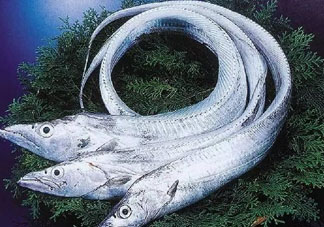 三文魚多少錢一斤2017？新鮮三文魚多少錢一條2017？
