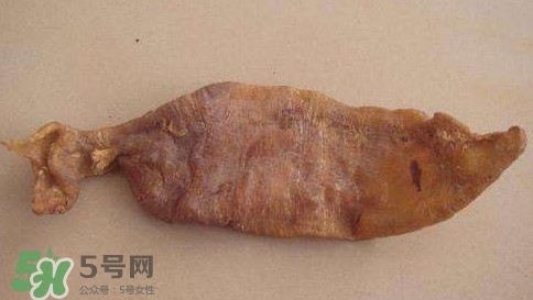 黃唇魚魚鰾是什么？魚鰾是魚的哪個(gè)部位