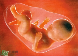 人造子宮能生孩子嗎？人造子宮成功案例
