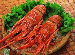 什么時候釣龍蝦最好？龍蝦幾月份能釣？