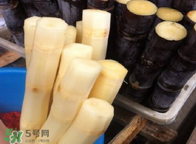 五月份還有甘蔗嗎？5月份還有甘蔗嗎？