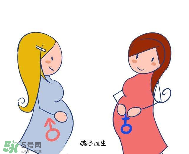 怎么問醫(yī)生胎兒性別？醫(yī)生會告訴胎兒性別嗎？