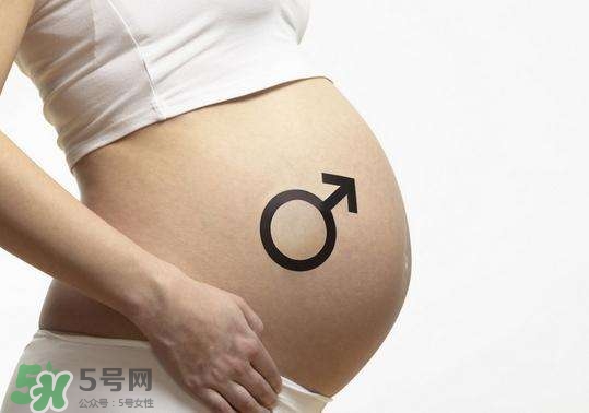 怎么問醫(yī)生胎兒性別？醫(yī)生會告訴胎兒性別嗎？