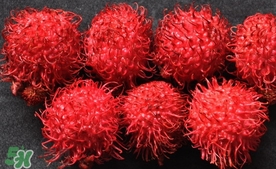 紅毛丹什么時候上市？紅毛丹什么季節(jié)有？