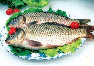 ?五月份吃什么魚？5月份吃什么魚？