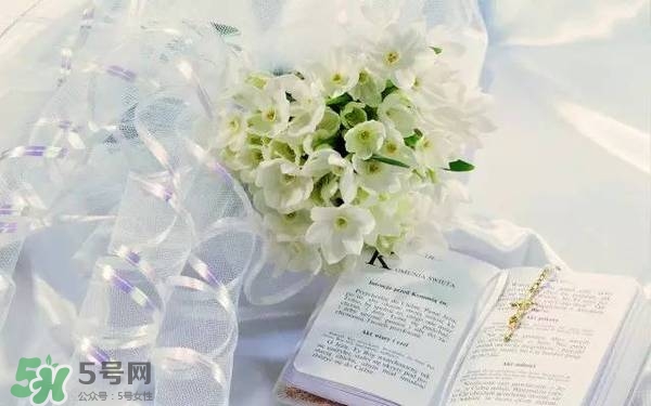 jill stuart湛藍(lán)祝福限定系列有哪些？jill stuart湛藍(lán)限定多少錢？