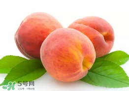 桃子為什么不能和西瓜一起吃？桃子和西瓜為什么不能一起吃？