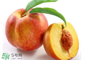 桃子可以放冰箱嗎？桃子能放冰箱保鮮嗎？