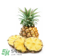 孕婦能吃菠蘿嗎？菠蘿孕婦能不能吃？