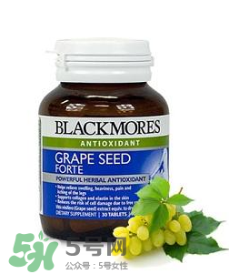 Blackmores葡萄籽吃法介紹 Blackmores葡萄籽怎么吃？