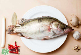 ?五月份吃什么魚？5月份吃什么魚？