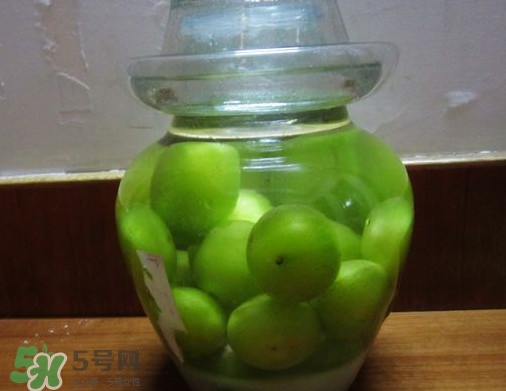 三華李可以泡酒嗎？三華李可以多吃嗎？