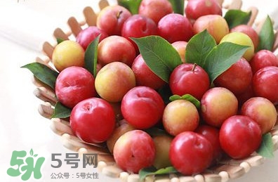 月經(jīng)期可以吃三華李嗎？月經(jīng)期能吃三華李嗎