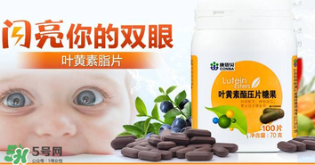 葉黃素真的有作用嗎？葉黃素的臨床試驗證明有用！
