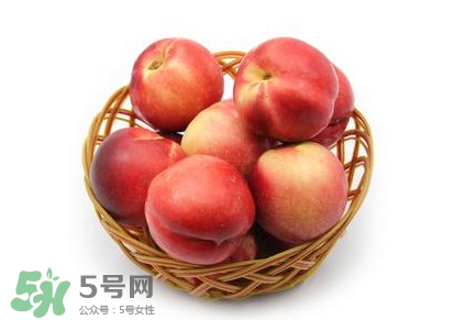 三華李可以泡酒嗎？三華李可以多吃嗎？