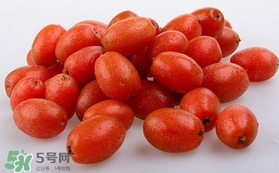 羊奶果可以連皮吃嗎？羊奶果的皮可以吃嗎
